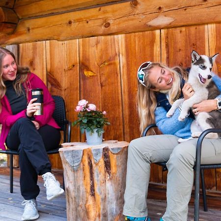Randsverk Jotunheimen Husky Lodge מראה חיצוני תמונה