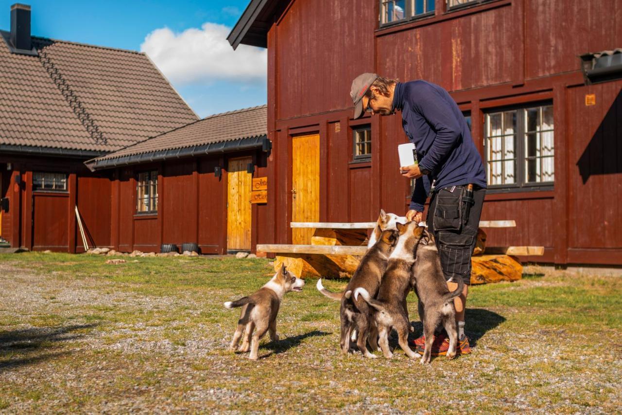 Randsverk Jotunheimen Husky Lodge מראה חיצוני תמונה