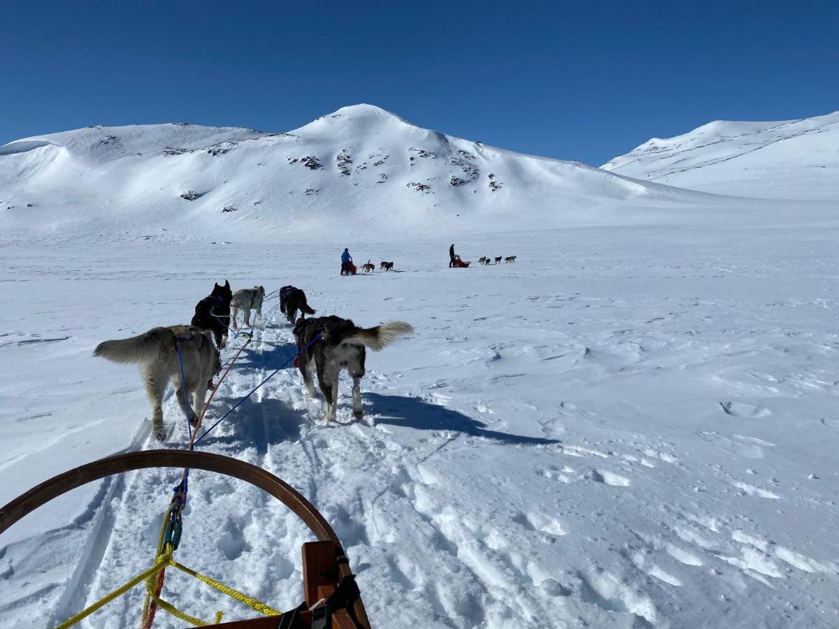 Randsverk Jotunheimen Husky Lodge מראה חיצוני תמונה
